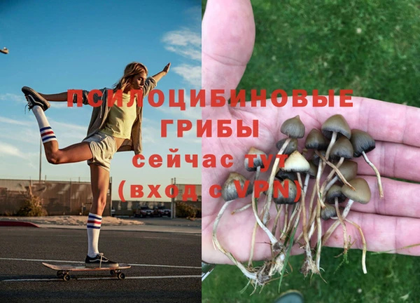мет Алзамай