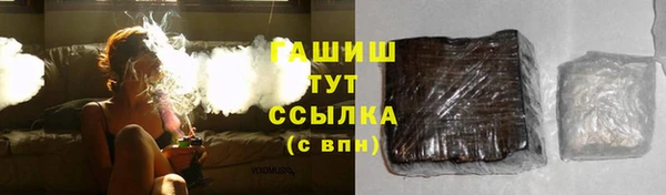 хмурый Арсеньев