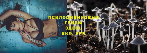 кокс Алексеевка