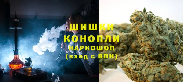 хмурый Арсеньев