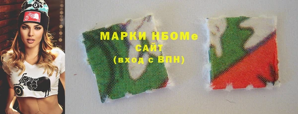 хмурый Арсеньев