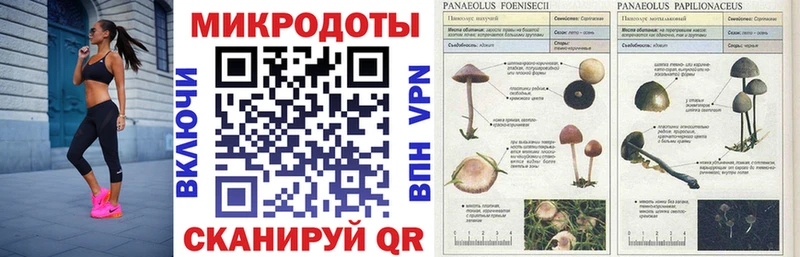 Галлюциногенные грибы Magic Shrooms Калач-на-Дону