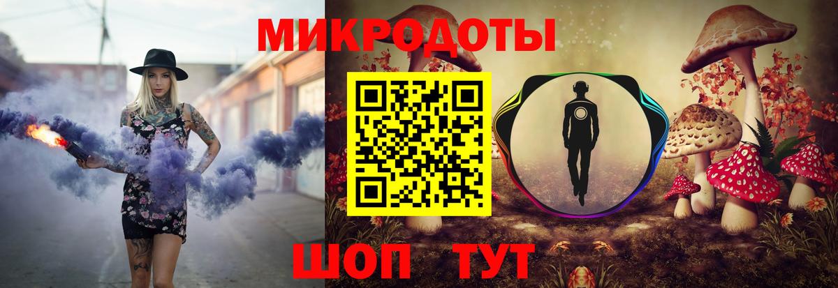 Галлюциногенные грибы Psilocybe Калач-на-Дону